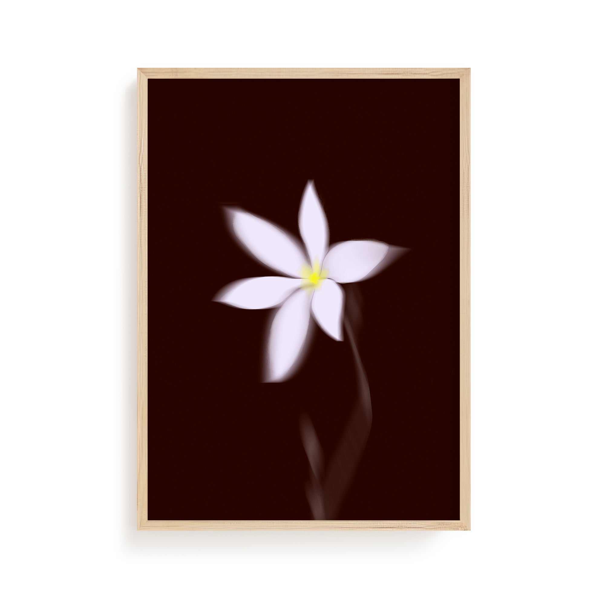 Burgundy Bloom