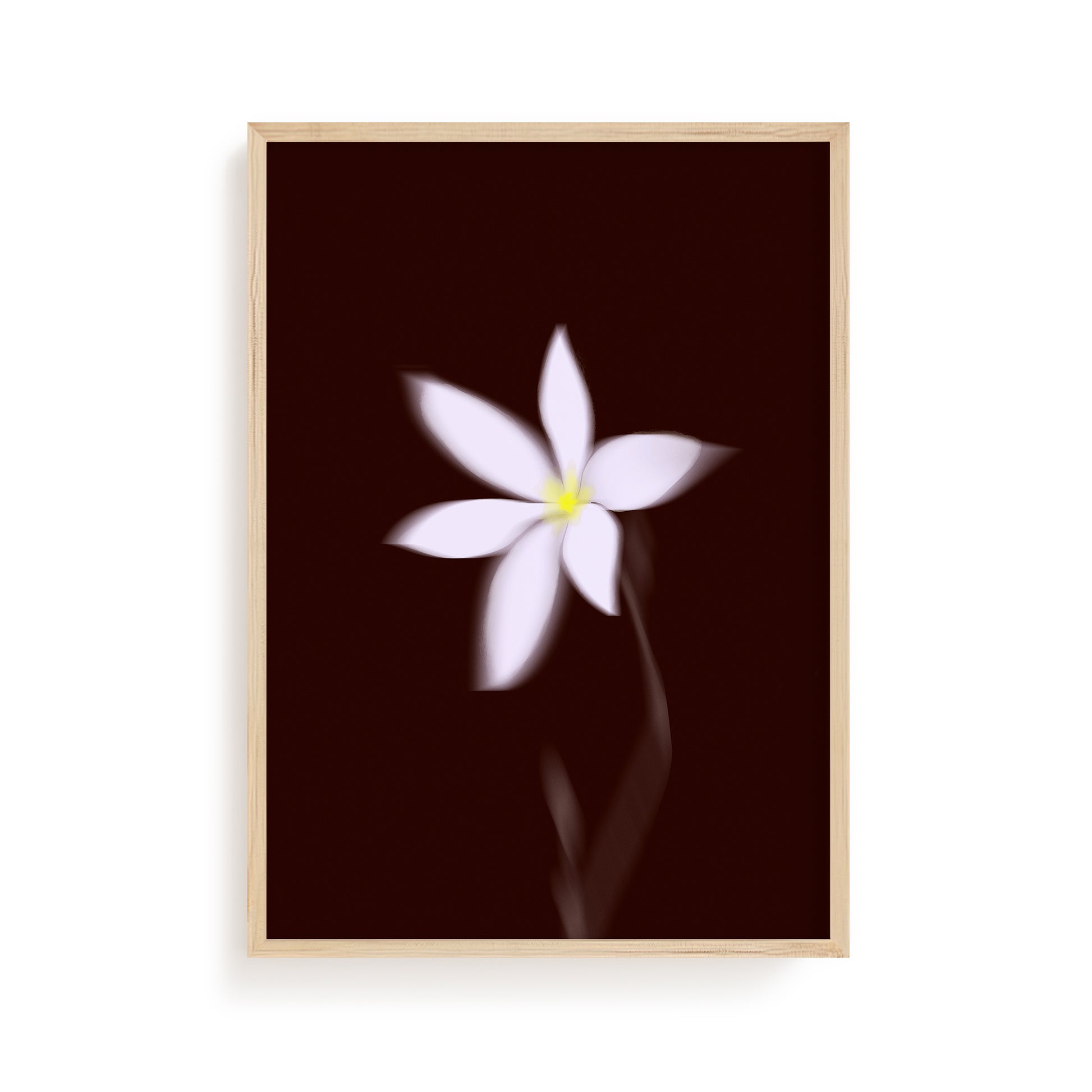 Burgundy Bloom