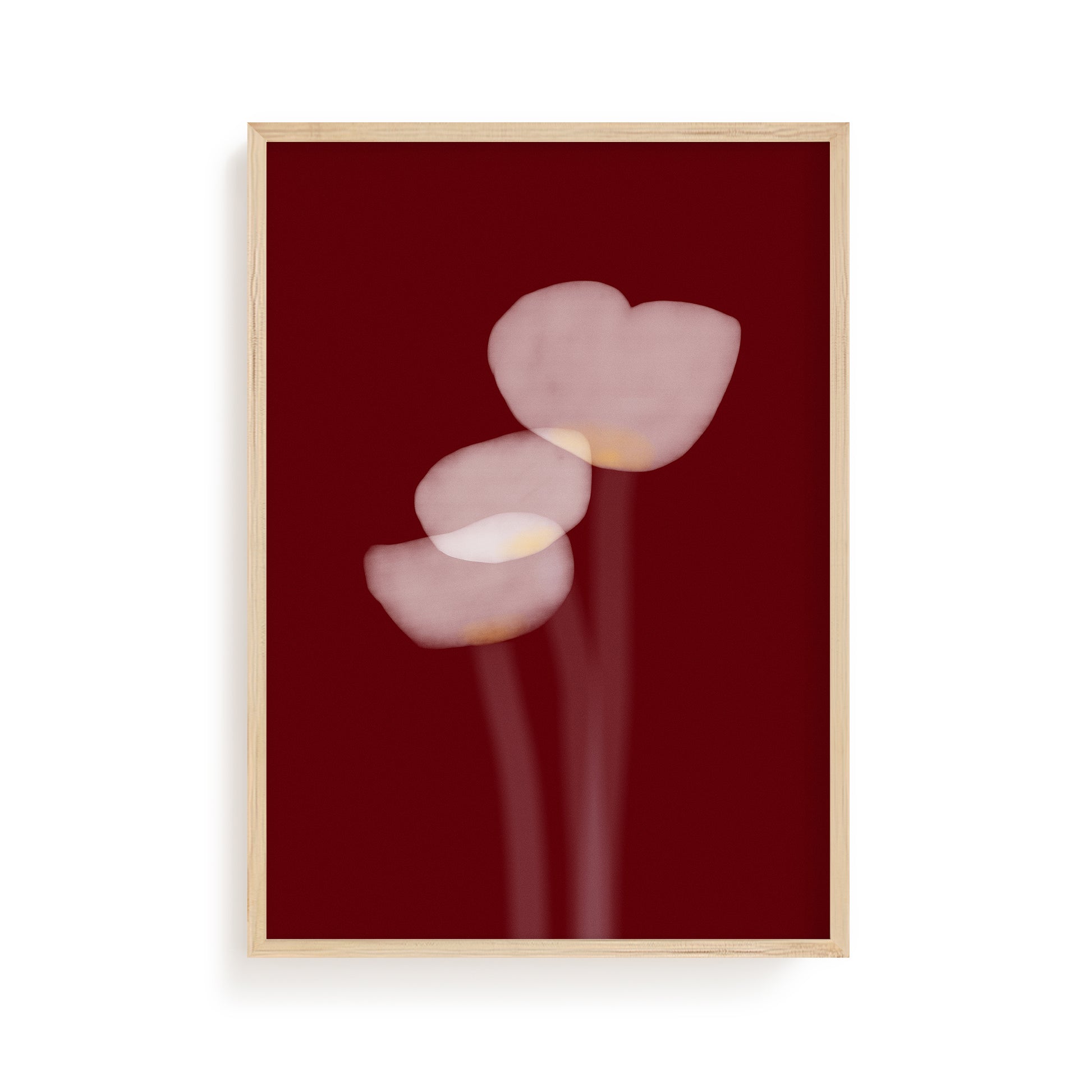 Scarlet Bloom