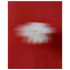 123f1ff7-f8bc-4e14-a6ba-6664d9788067