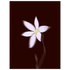 125a82f7-1435-4d53-b89a-b5d7ab286476