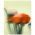 2c58d585-a9ec-4ebc-8b19-f91adf2818f6
