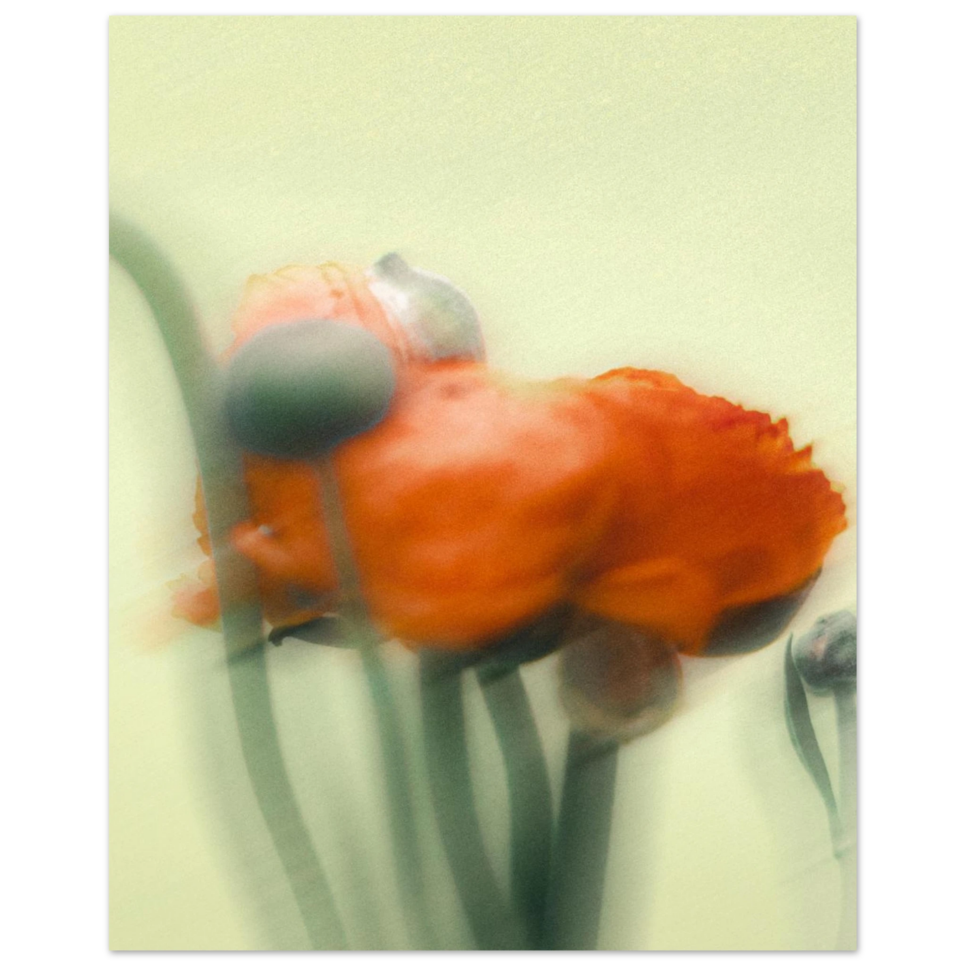 2c58d585-a9ec-4ebc-8b19-f91adf2818f6