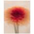 329e62c1-62e1-48da-864e-785638315727