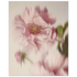 5a3cf99a-cb98-4d13-b481-80d7aaf1e6cf