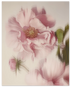 5a3cf99a-cb98-4d13-b481-80d7aaf1e6cf