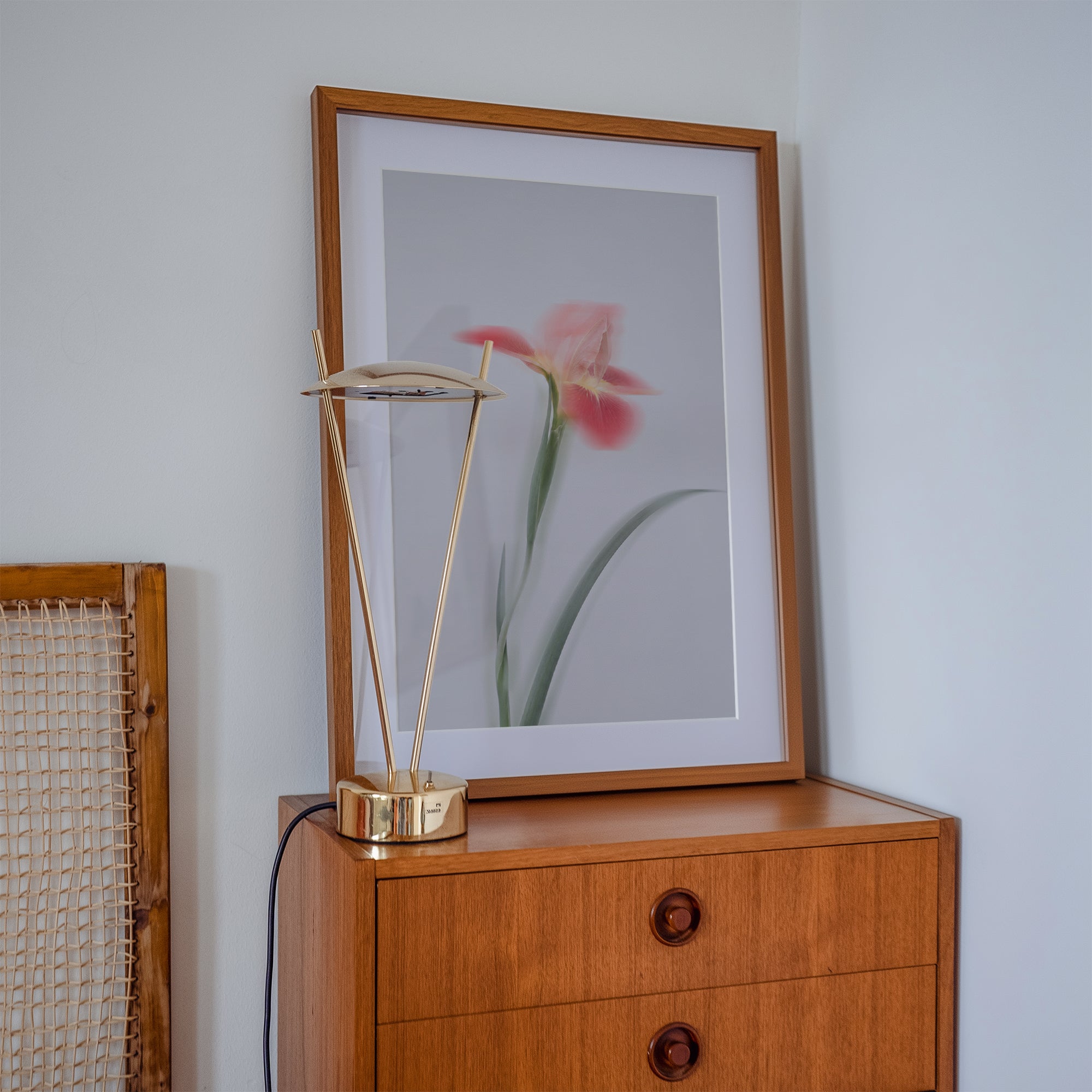 Dreamy Botanical Wall Art