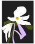 76488df2-f2d0-4a94-975e-dd6f7797a98d
