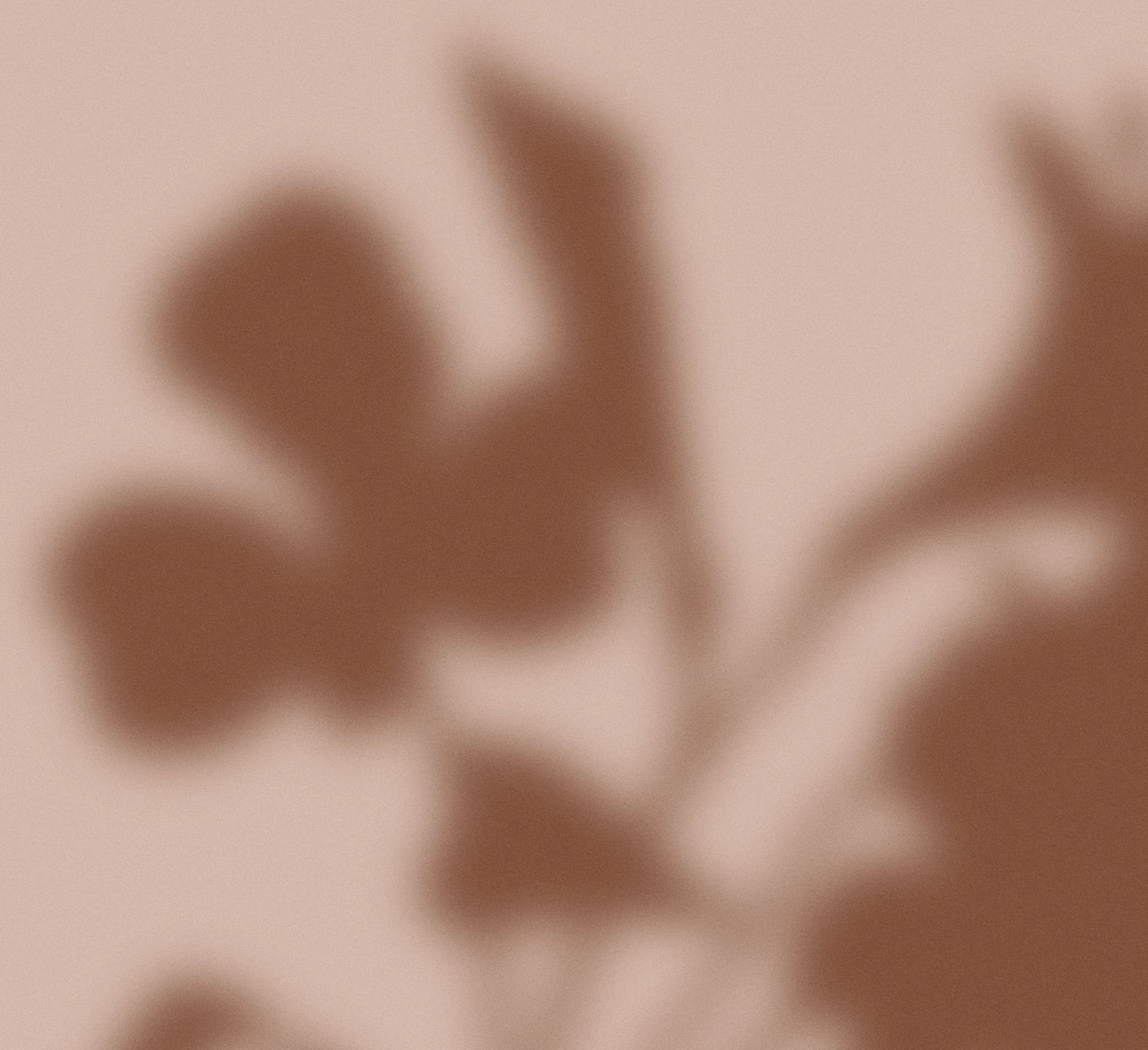 Neutral Botanical Shadow Wall Art