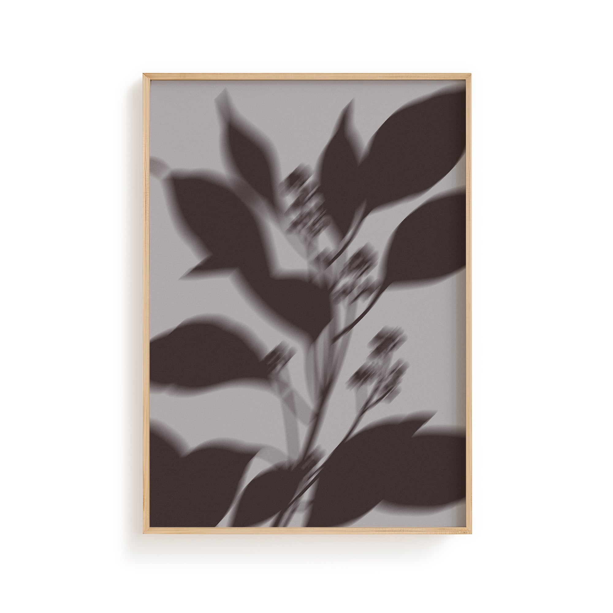 Botanical Shadow II — Moon Shadow