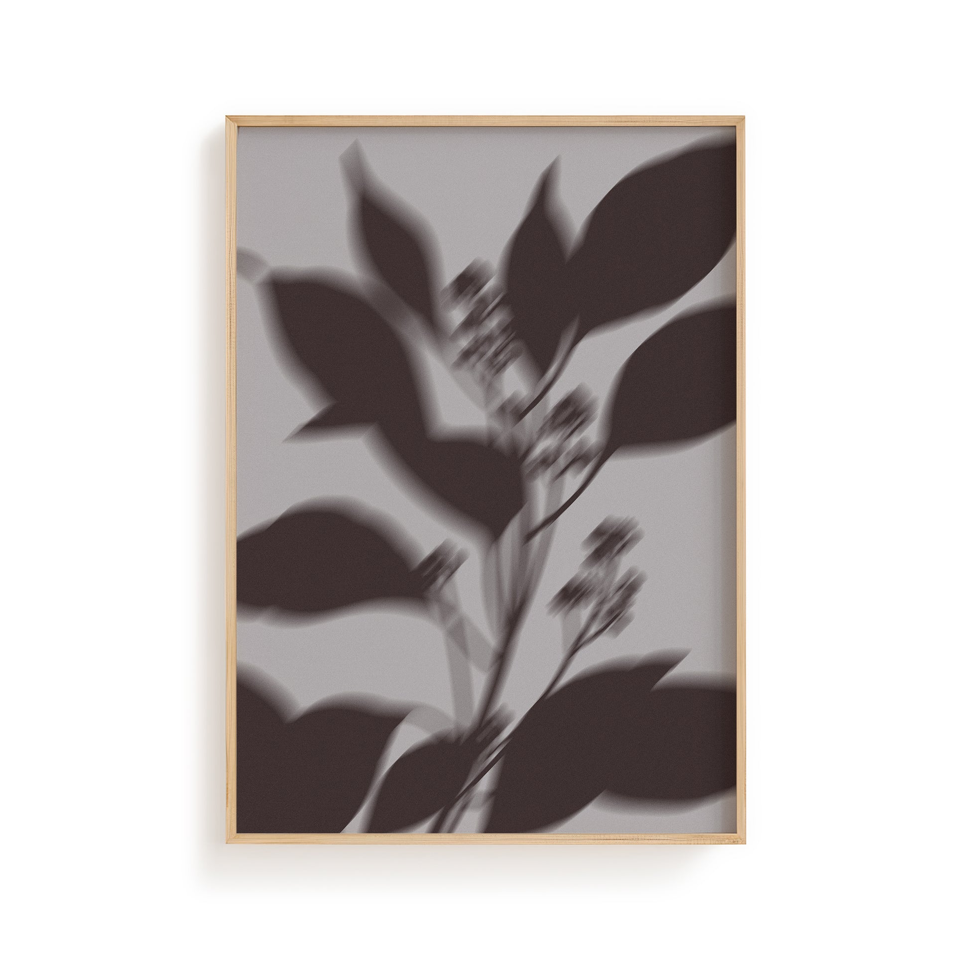 Botanical Shadow II — Moon Shadow