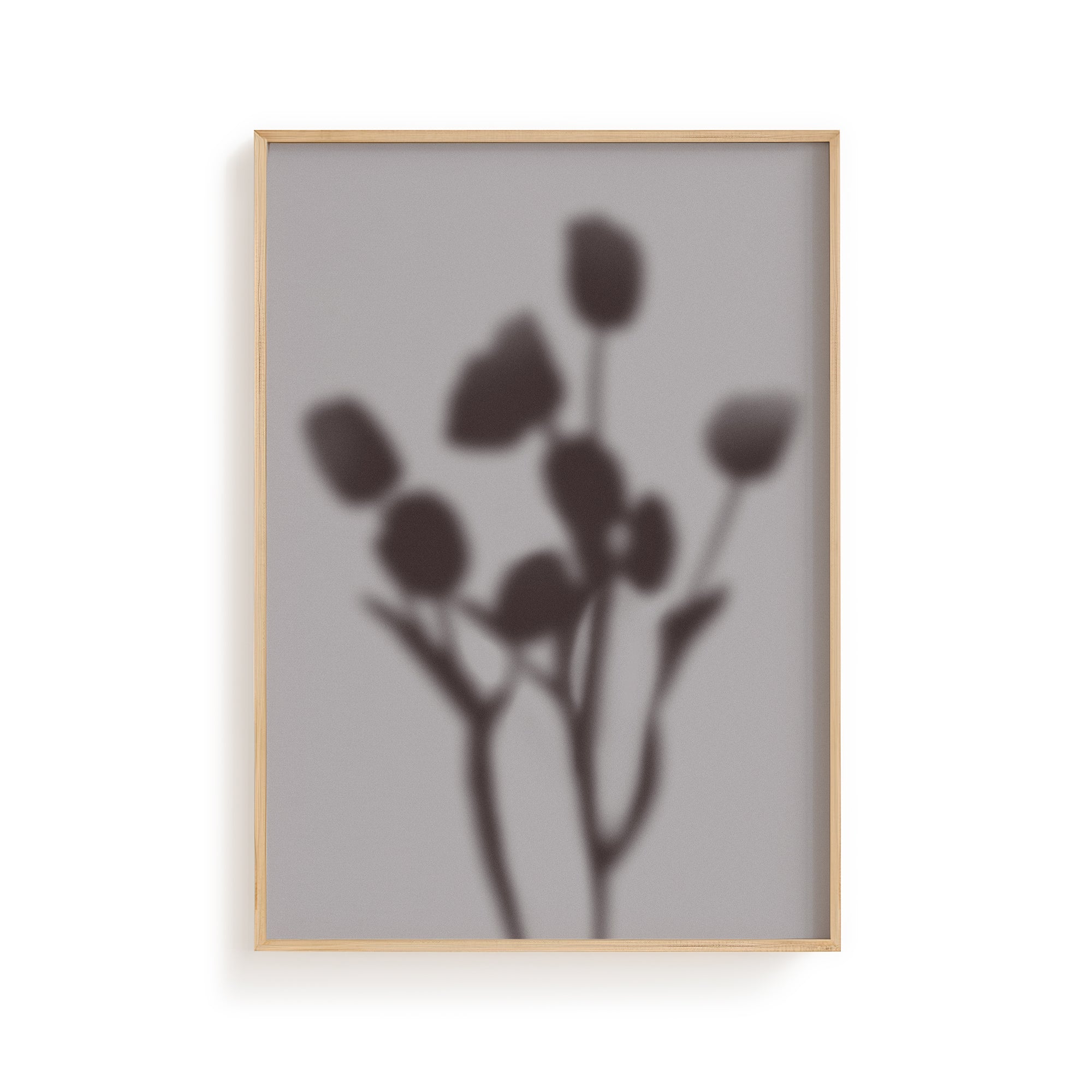 Botanical Shadow III -  Moon Shadow