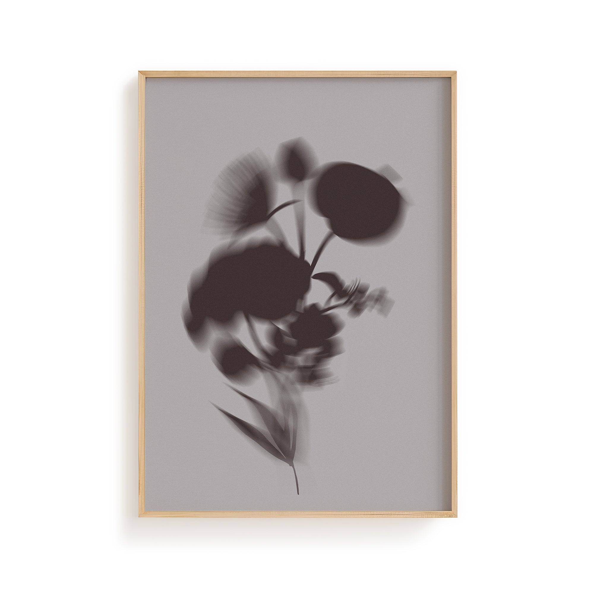 Botanical Shadow IV - Moon