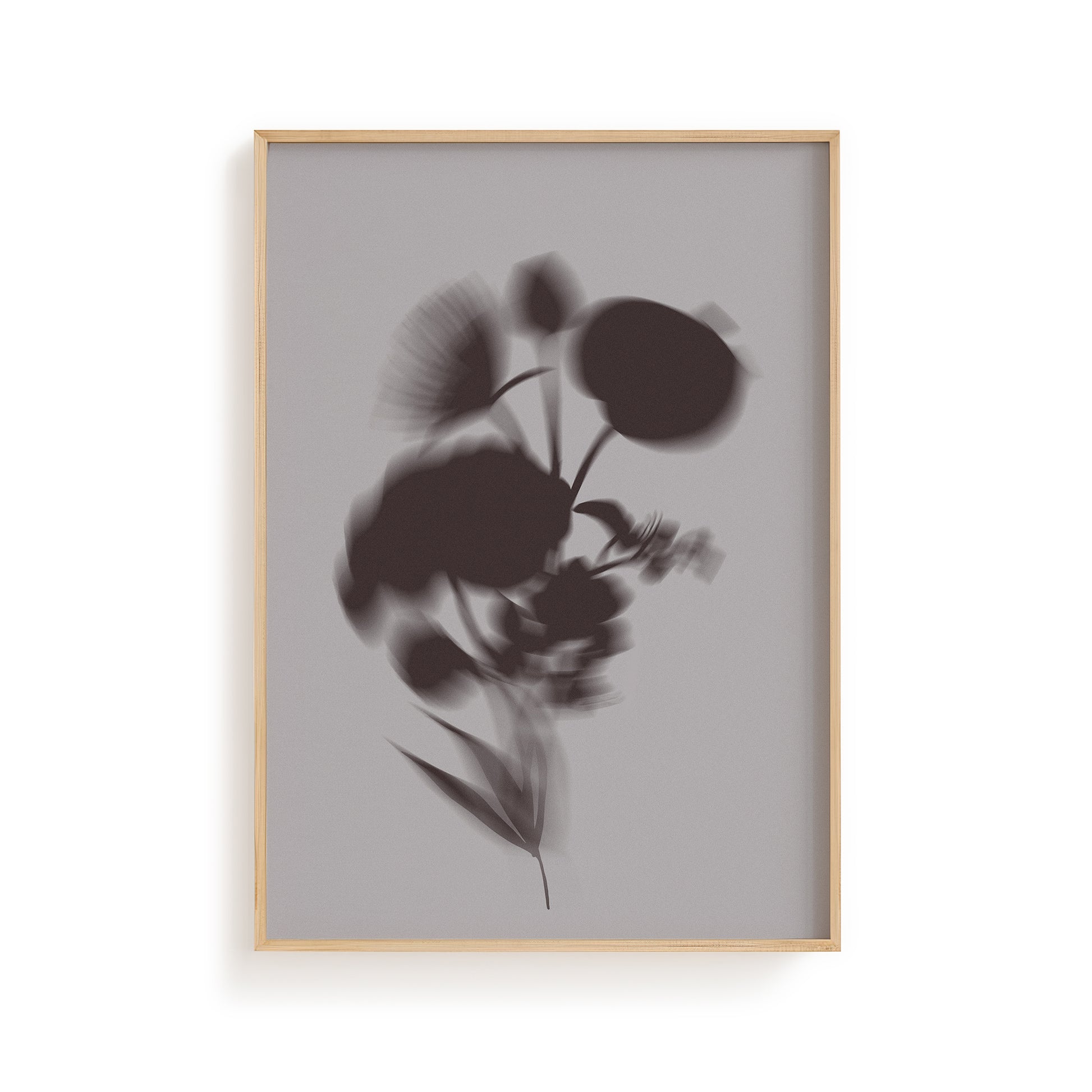 Botanical Shadow IV - Moon