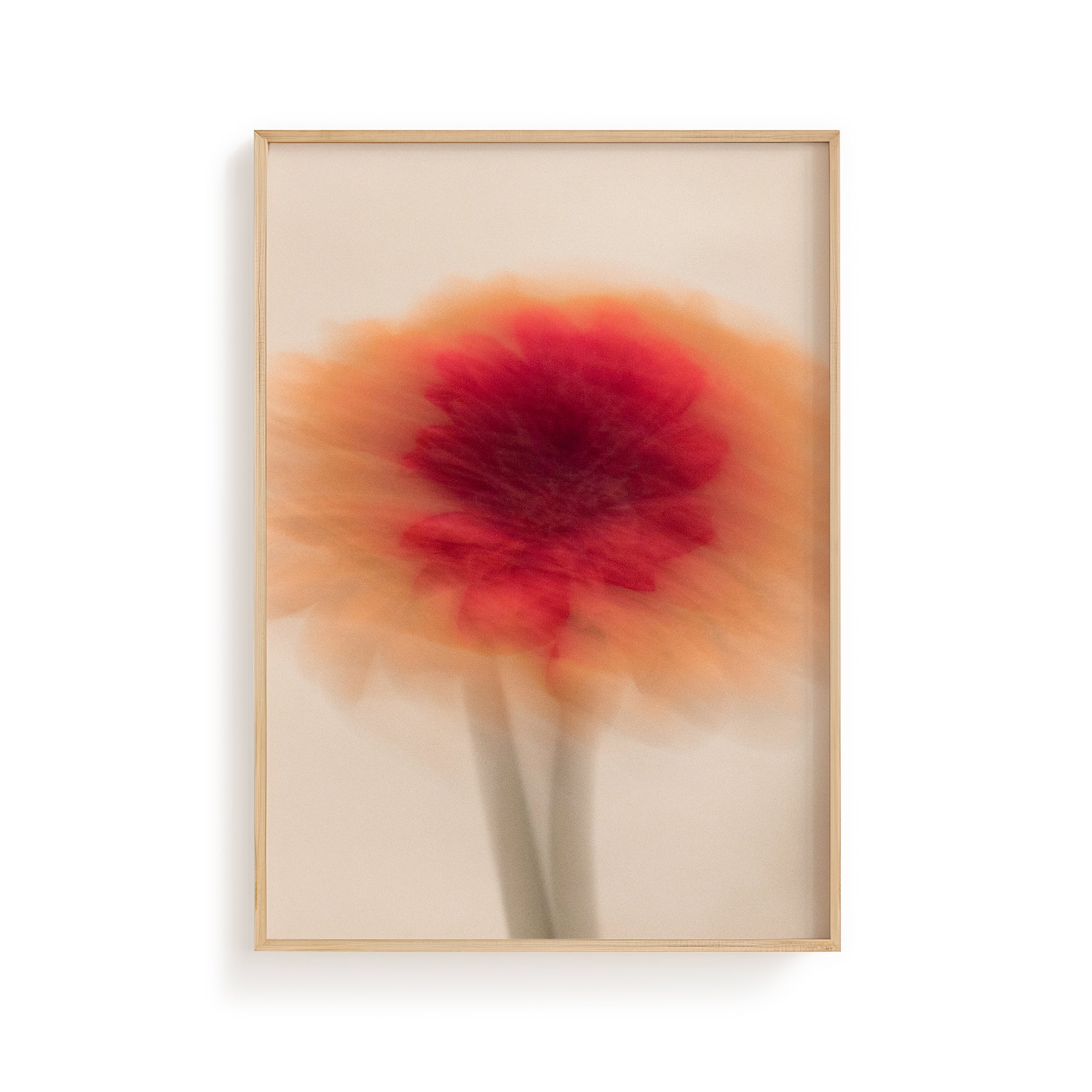 Dreamy Daisy – Abstract Floral Art Print