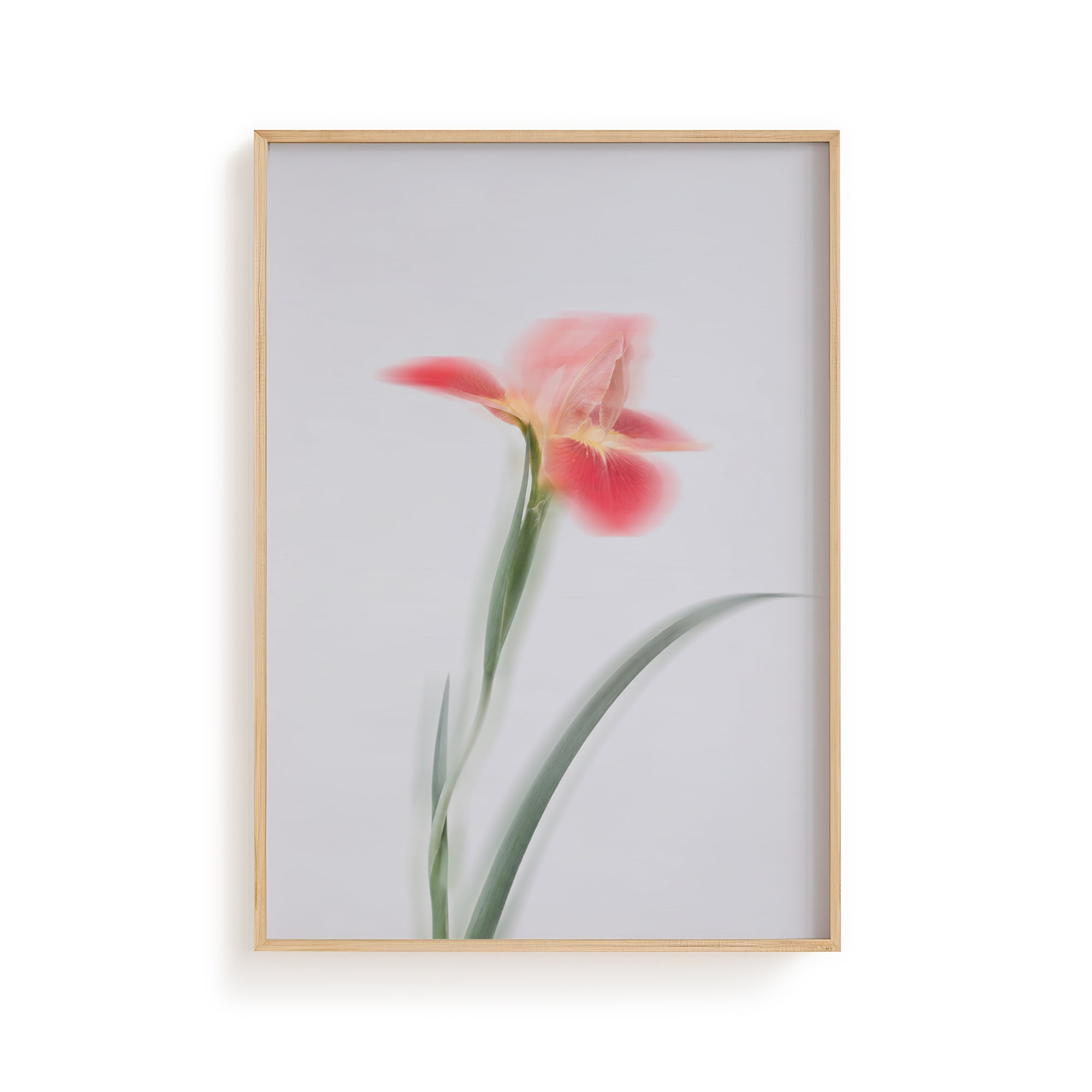 Dreamy Botanical Wall Art