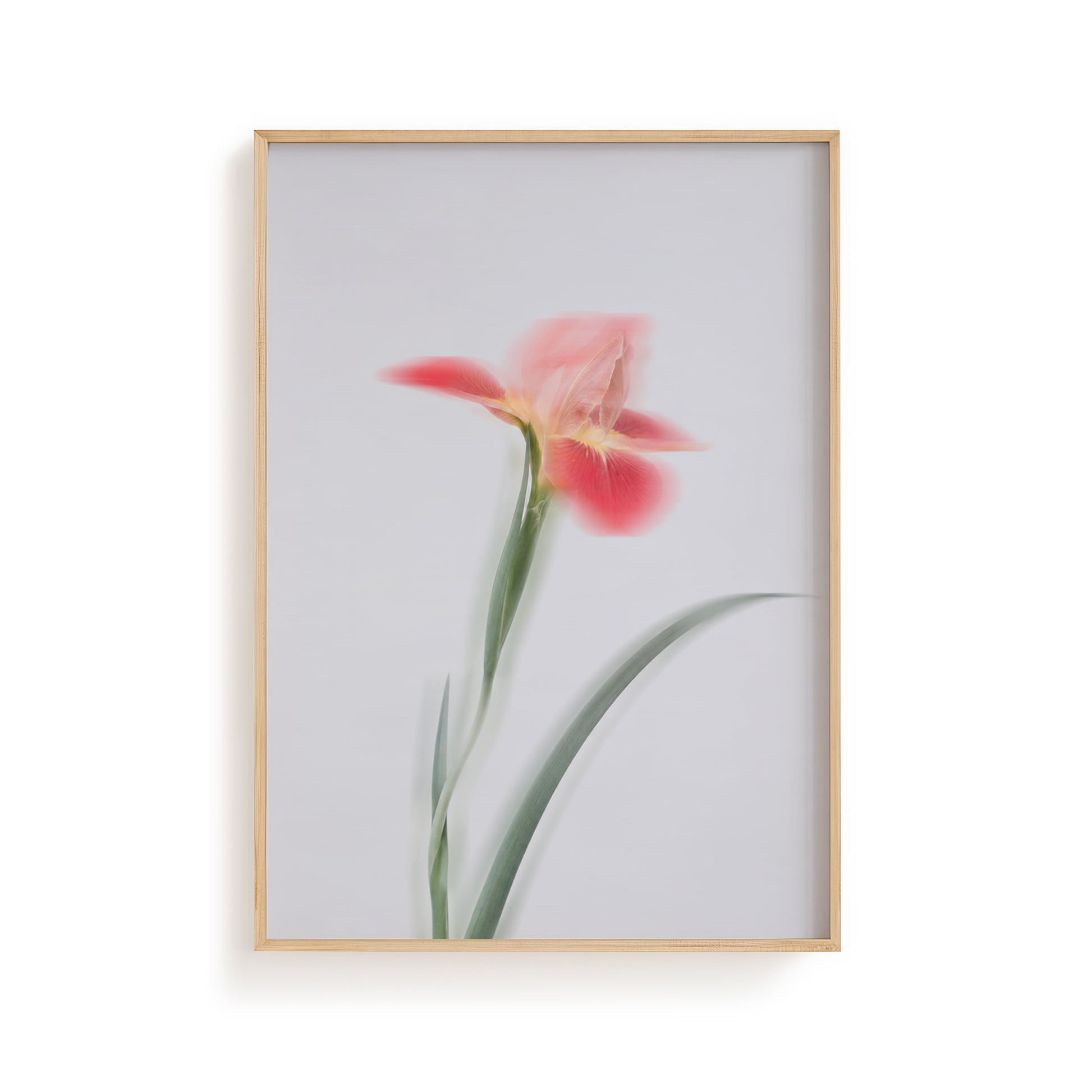 Dreamy Botanical Wall Art
