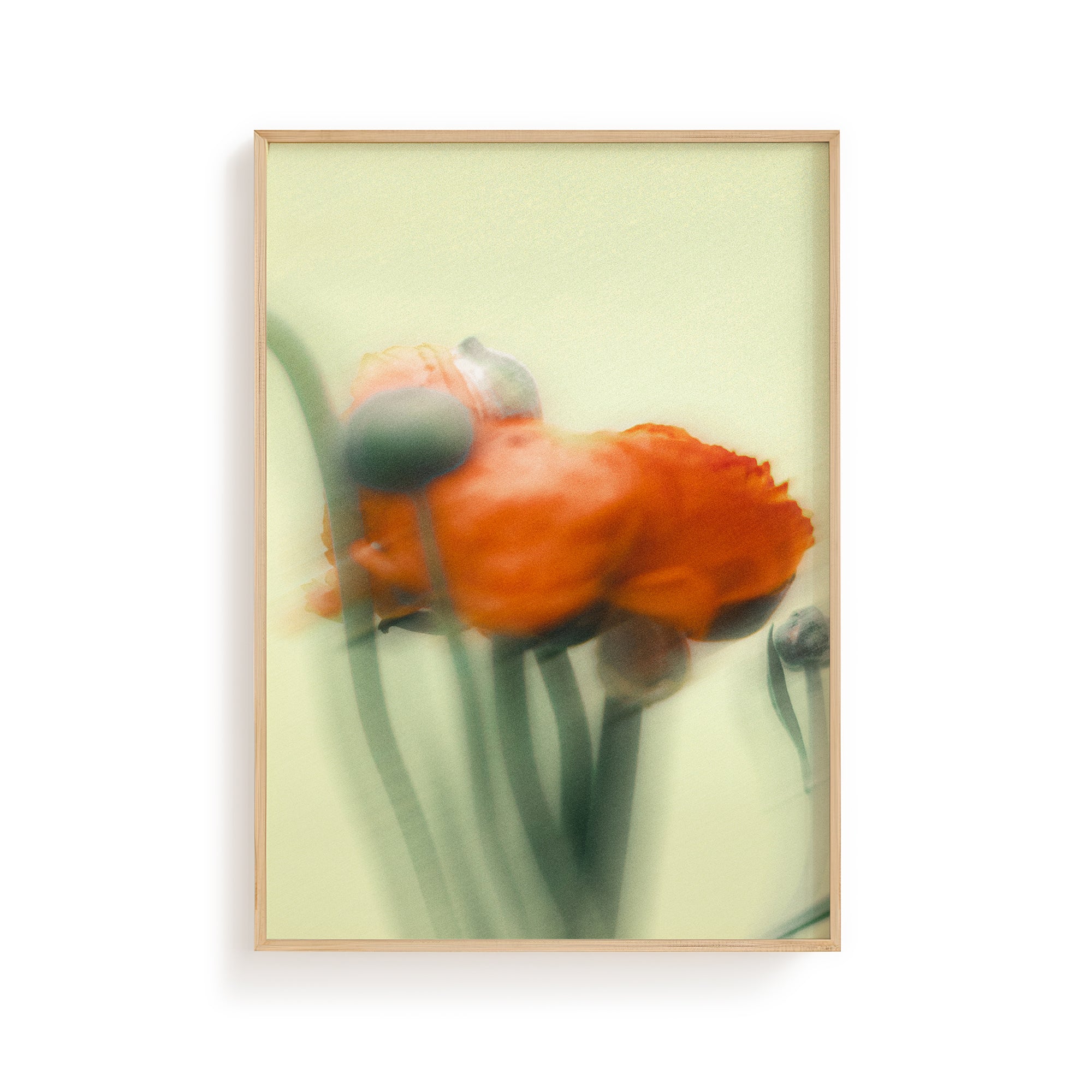 Dreamy Orange Flower Art Print