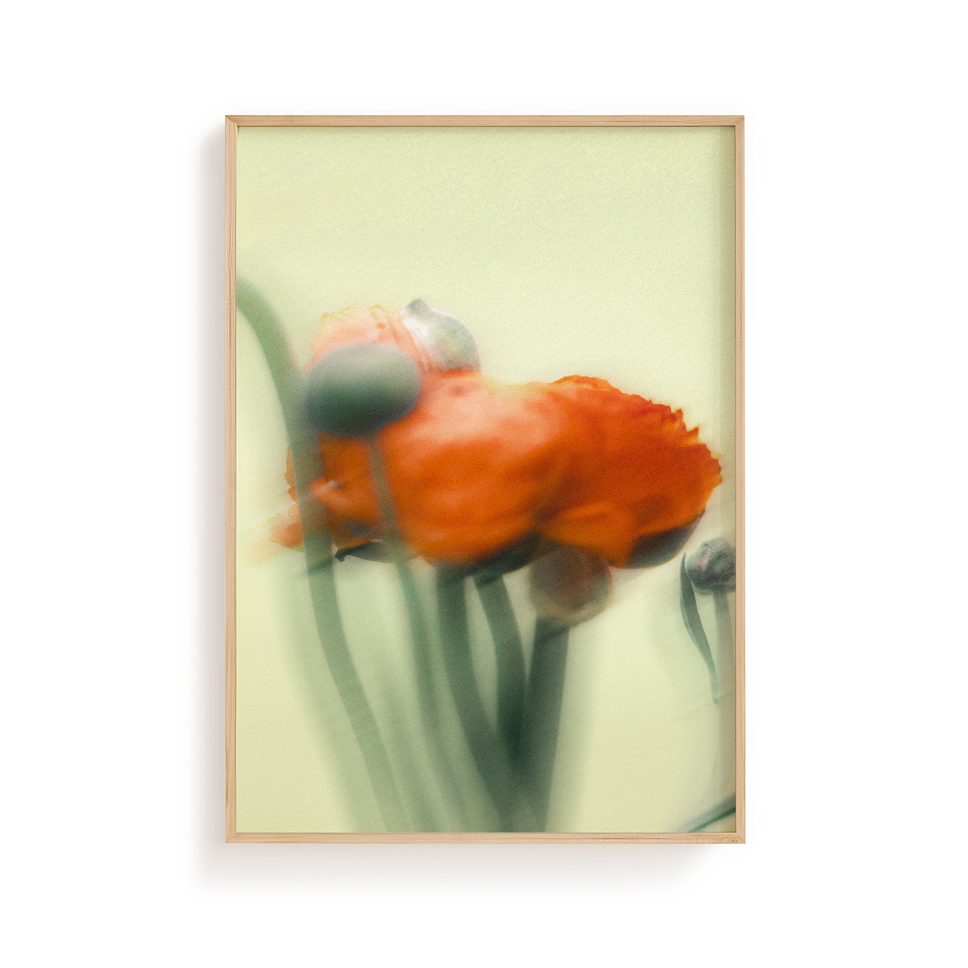 Dreamy Orange Flower Art Print