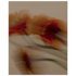 c777152f-1631-4903-a52a-99ab8fe63ead