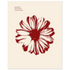fc1fb15e-53a2-461d-abba-eef839d1c00b
