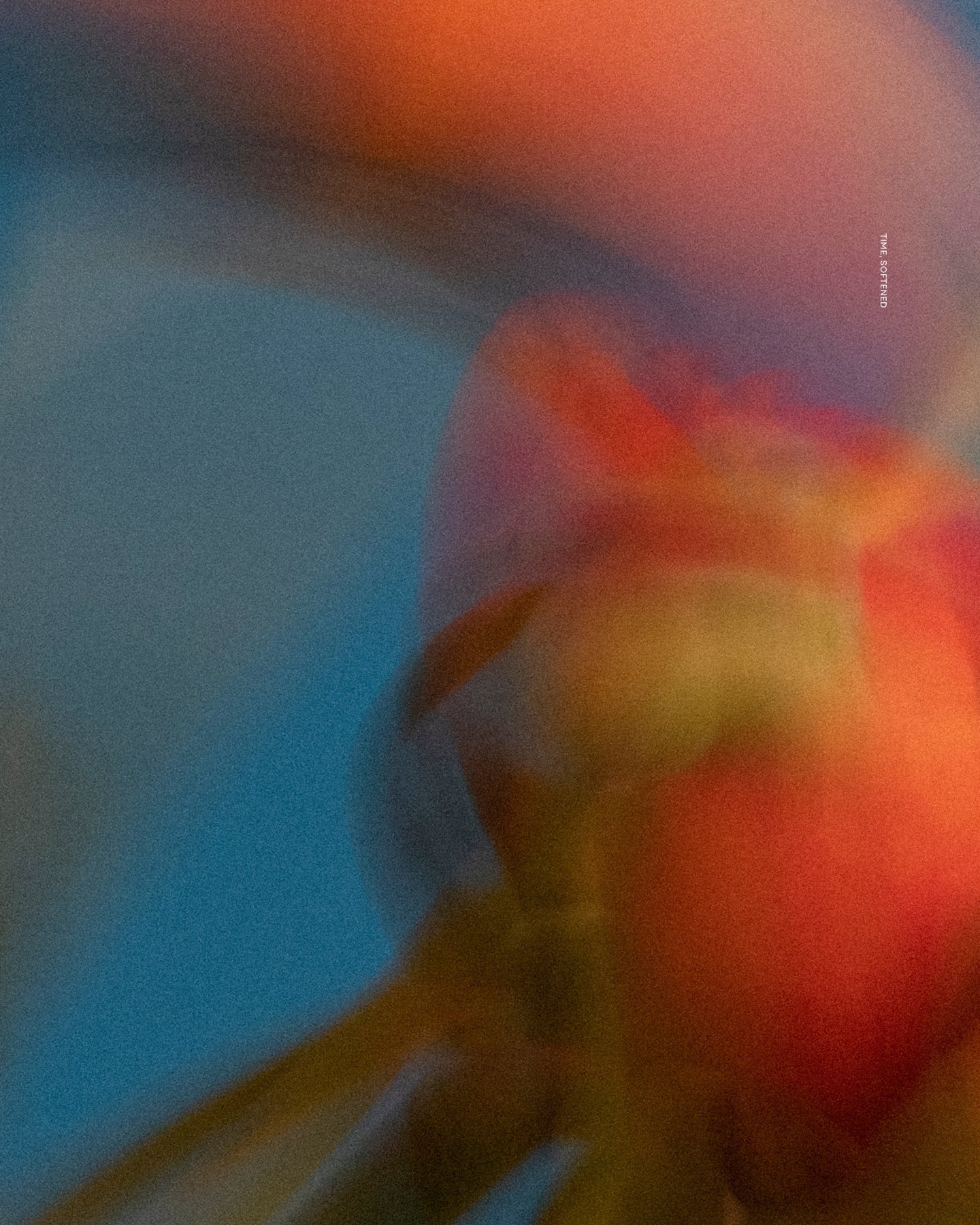 Time Softened (Digital Wall Art)