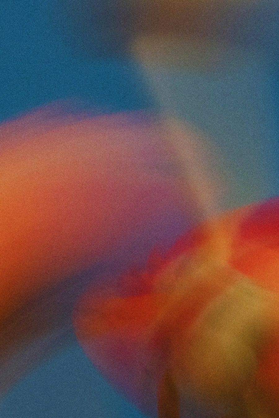 Still Moving (Digital Wall Art)